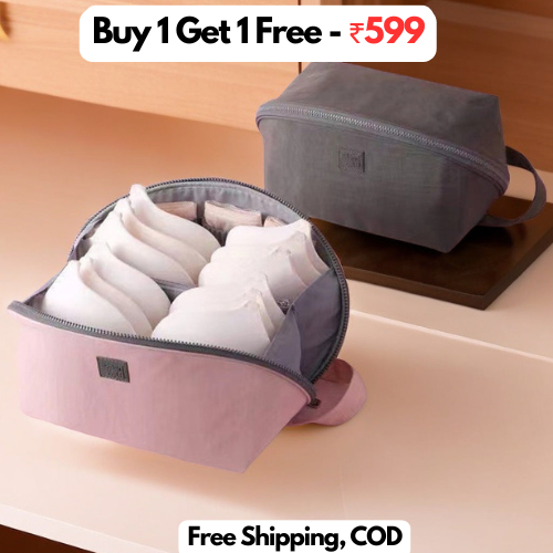 Innerwear Organizer Bag