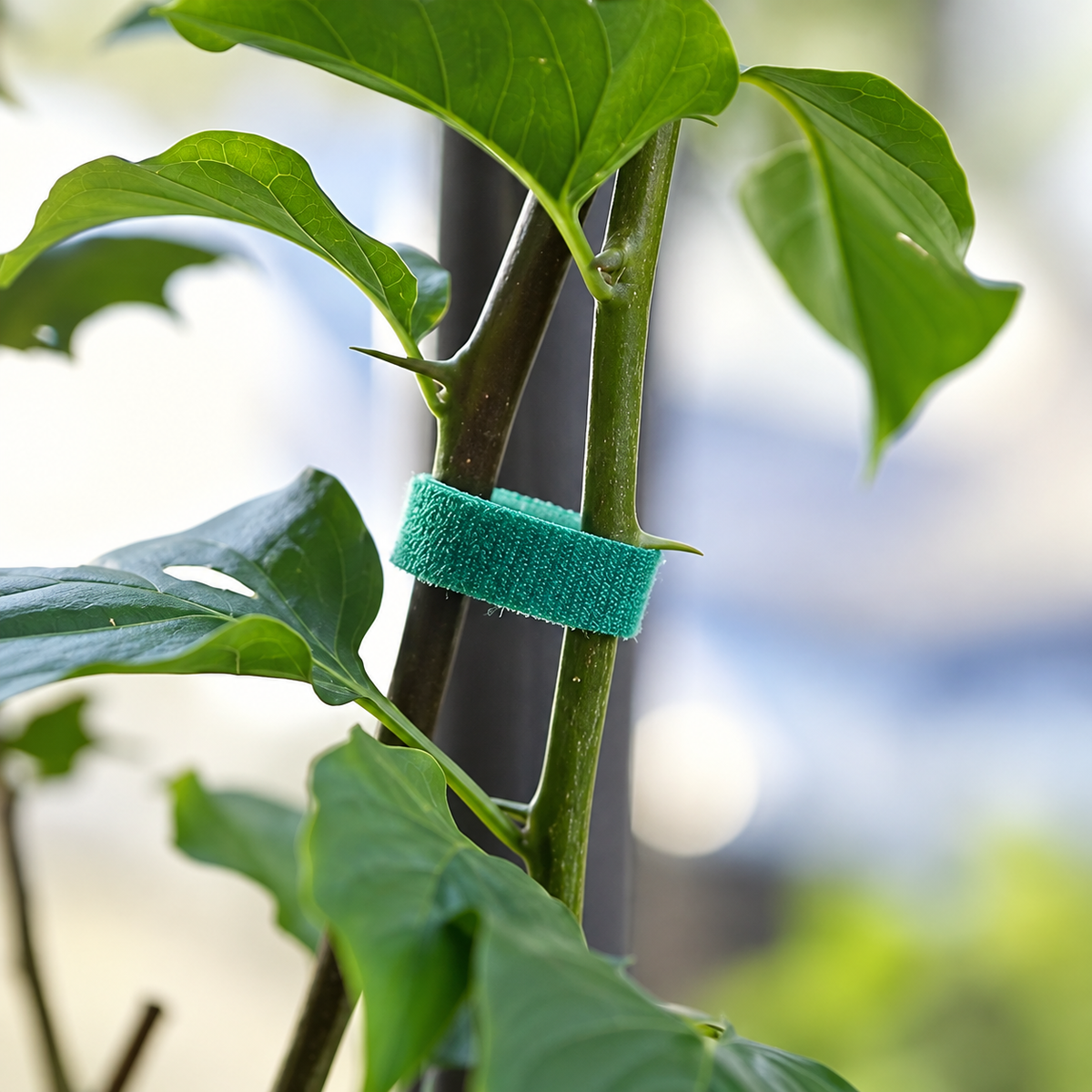 Multi-Color Velcro Roll (100% Nylon)