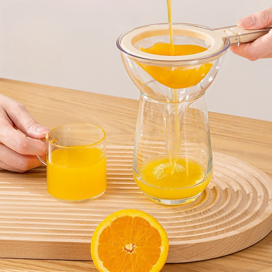 Foldable Funnel Strainer