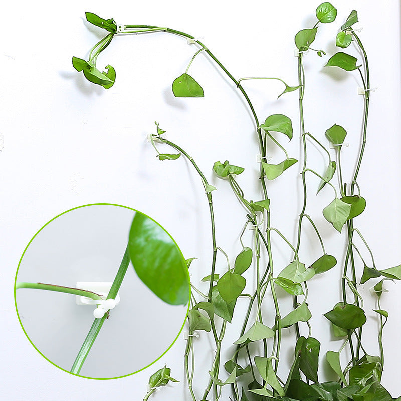 Plant Climbing Wall Fixture Clips