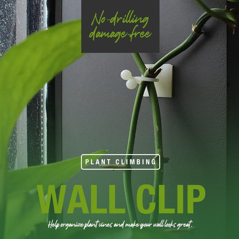 Plant Climbing Wall Fixture Clips