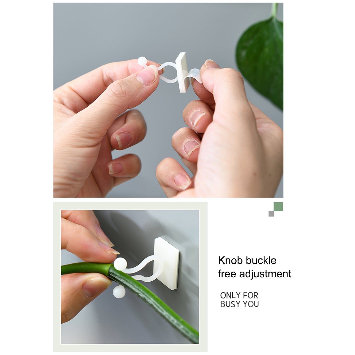 Plant Climbing Wall Fixture Clips