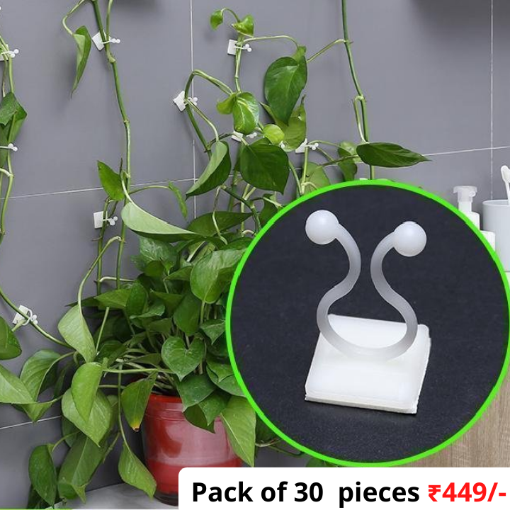 Plant Climbing Wall Fixture Clips