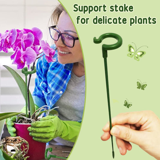 Plant Support  (10PCS)