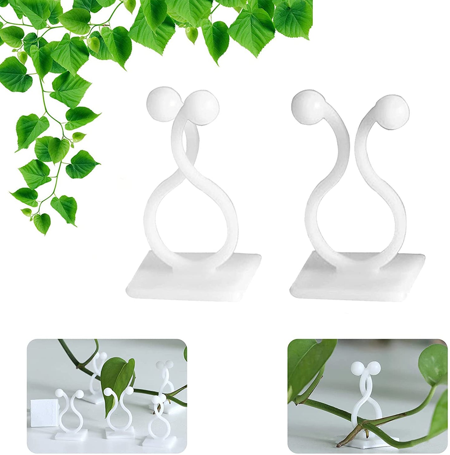 Plant Climbing Wall Fixture Clips